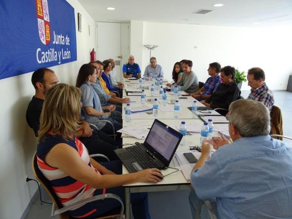 REUNIONES DEL COMITÉ TÉCNICO Y DE DELEGACIONES PROVINCIALES