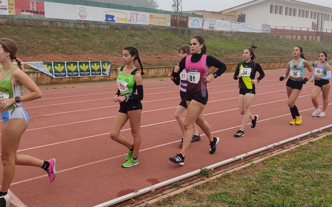 TORO CORONA A LOS MEJORES MARCHADORES DE CASTILLA Y LEÓN